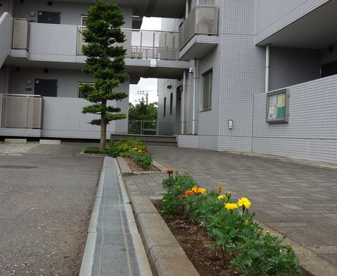 ビューテラス7月3日