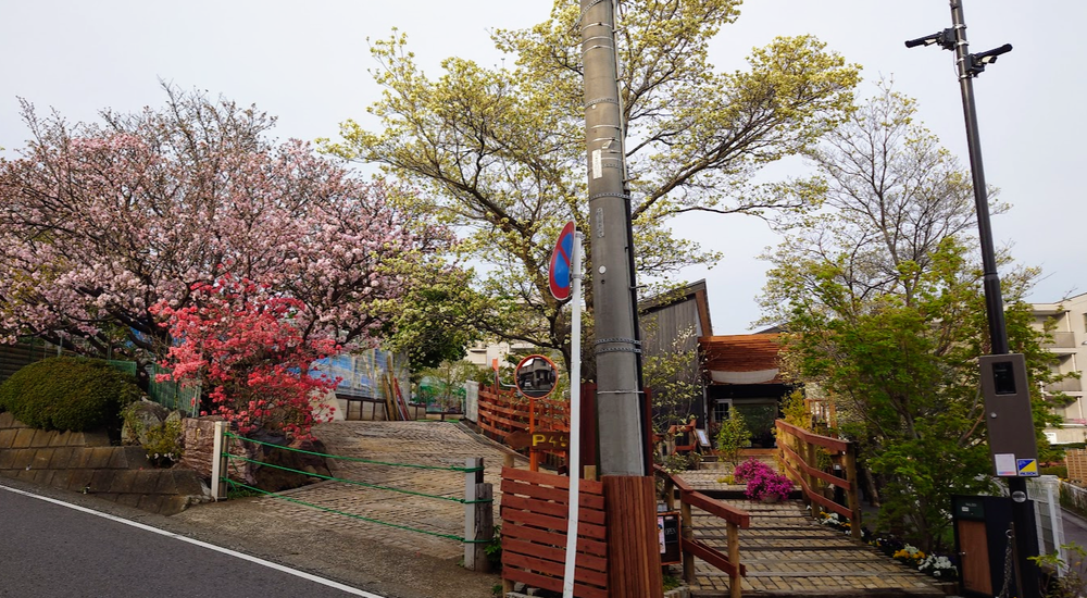 g-cafe_spring