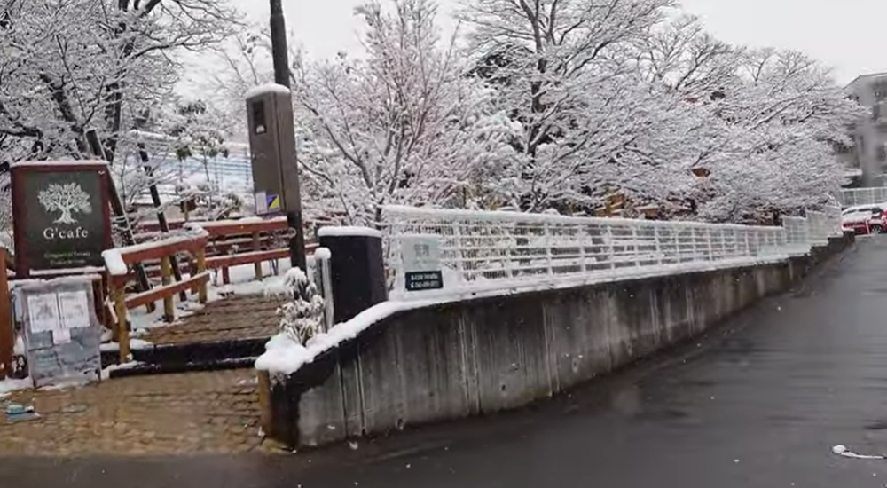 g-cafe_winter